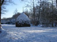 Spreewald im Winter